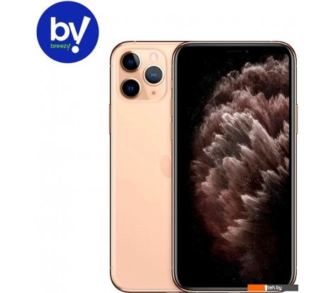  - Мобильные телефоны Apple iPhone 11 Pro 256GB Восстановленный by Breezy, грейд B (золотистый) - iPhone 11 Pro 256GB Восстановленный by Breezy, грейд B (золотистый)