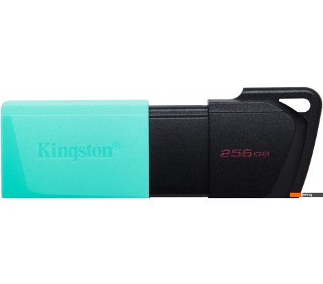  - USB Flash Kingston DataTraveler Exodia M 256GB - DataTraveler Exodia M 256GB