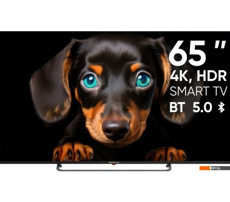  - Телевизоры Topdevice Ultra Neo TDTV65CS06U_BK - Ultra Neo TDTV65CS06U_BK