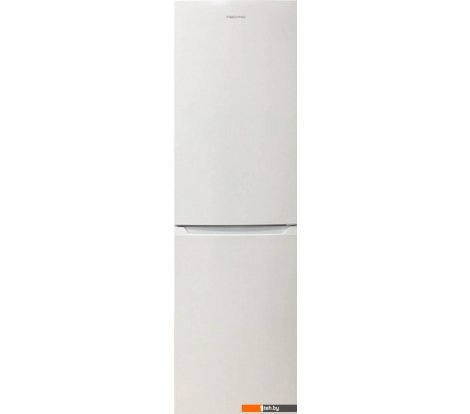  - Холодильники Techno FN2-31 (белый) - FN2-31 (белый)