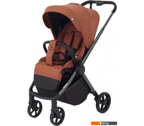  - Детские коляски и аксессуары Rant Golf RA101 (maroon brown) - Golf RA101 (maroon brown)