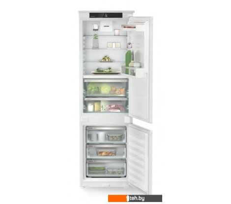  - Холодильники Liebherr ICBNSd 5123 Plus BioFresh NoFrost - ICBNSd 5123 Plus BioFresh NoFrost