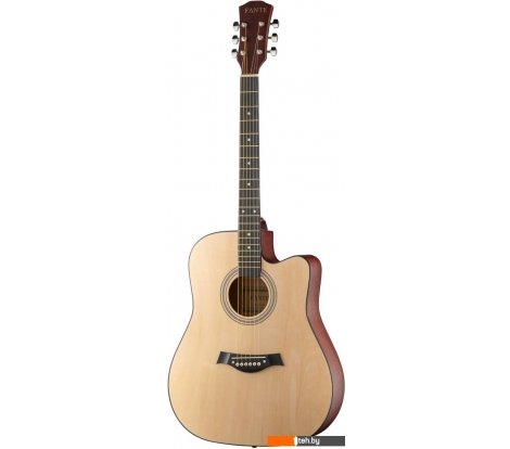  - Гитары Fante FT-221-N - FT-221-N