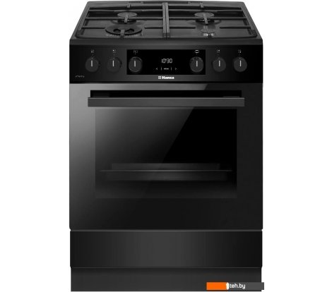  - Кухонные плиты Hansa FCMM693291 - FCMM693291