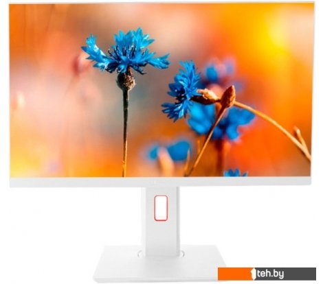  - Моноблоки ТЕСЛА P24WP 2116500 - P24WP 2116500