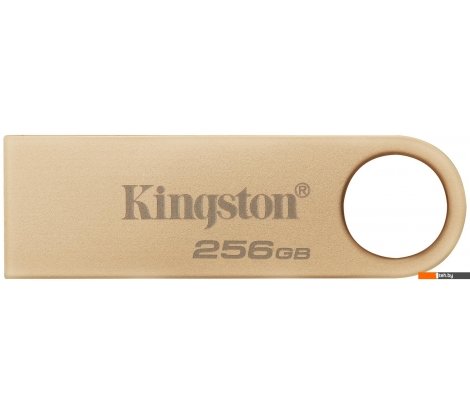  - USB Flash Kingston DataTraveler SE9 G3 256B DTSE9G3/256GB - DataTraveler SE9 G3 256B DTSE9G3/256GB