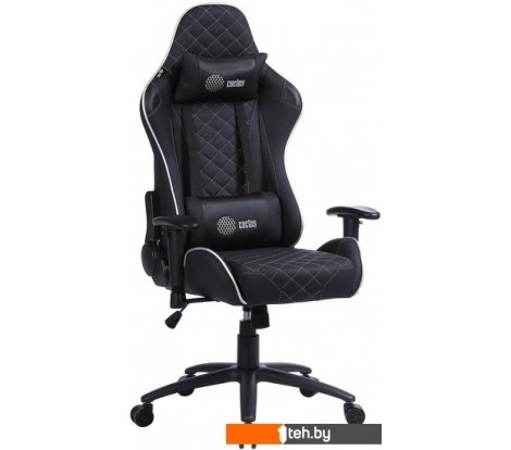  - Офисные кресла и стулья CACTUS CS-CHR-030BLS (черный/серебристый) - CS-CHR-030BLS (черный/серебристый)