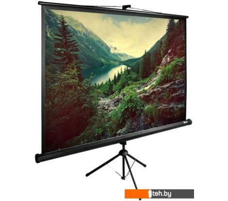  - Проекционные экраны CACTUS TriExpert 220x220 CS-PSTE-220X220-BK - TriExpert 220x220 CS-PSTE-220X220-BK