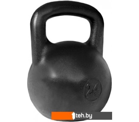  - Гантели, гири, штанги Titan любительская 24 кг - любительская 24 кг