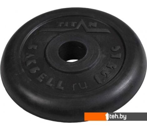  - Гантели, гири, штанги Titan 31 мм 20 кг - 31 мм 20 кг