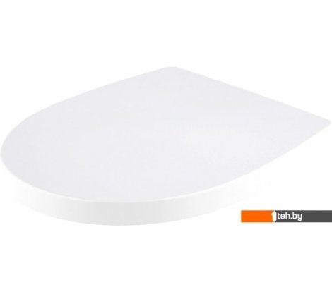  - Сиденья и крышки для унитазов и биде Roca Victoria Nord ZRU9000024 - Victoria Nord ZRU9000024