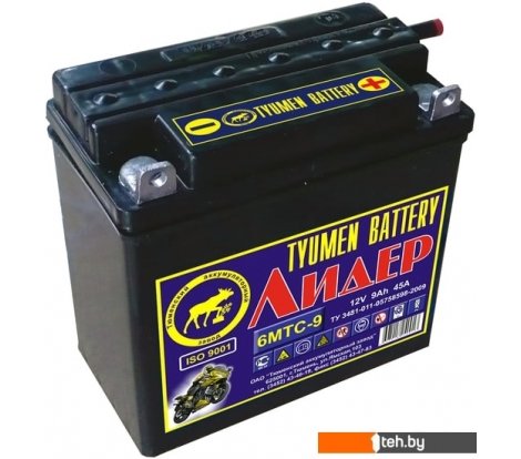 - Мотоциклетные аккумуляторы Tyumen Battery Лидер 6МТС-9 (9 А·ч) - Лидер 6МТС-9 (9 А·ч)