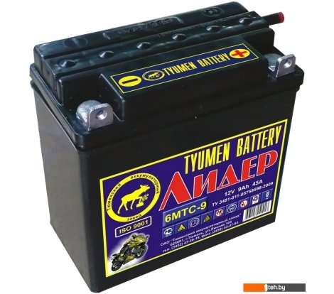  - Мотоциклетные аккумуляторы Tyumen Battery Лидер 6МТС-9 (9 А·ч) - Лидер 6МТС-9 (9 А·ч)