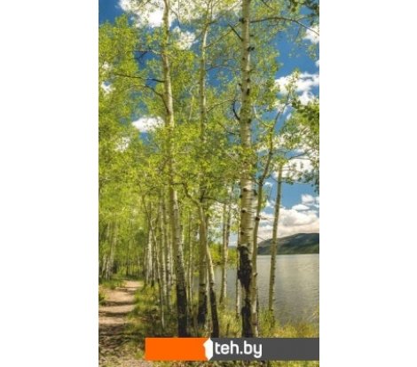  - Обогреватели БРТЗ Дыхание тепла Березовый берег - Дыхание тепла Березовый берег