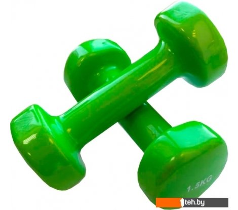  - Гантели, гири, штанги Indigo 92005 IR 2x1.5 кг (салатовый) - 92005 IR 2x1.5 кг (салатовый)
