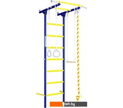  - Детские спортивные комплексы и игровые площадки Romana S1 01.21.7.06.490.05.00-13 (синяя слива) - S1 01.21.7.06.490.05.00-13 (синяя слива)