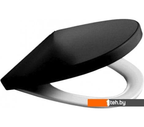  - Сиденья и крышки для унитазов и биде Roca Victoria Nord ZRU9302627 (черное) - Victoria Nord ZRU9302627 (черное)