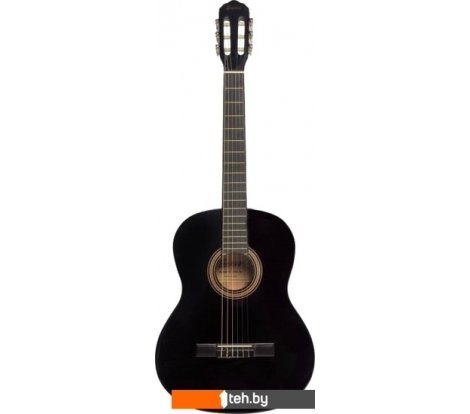 - Гитары Terris TC-395A BK - TC-395A BK