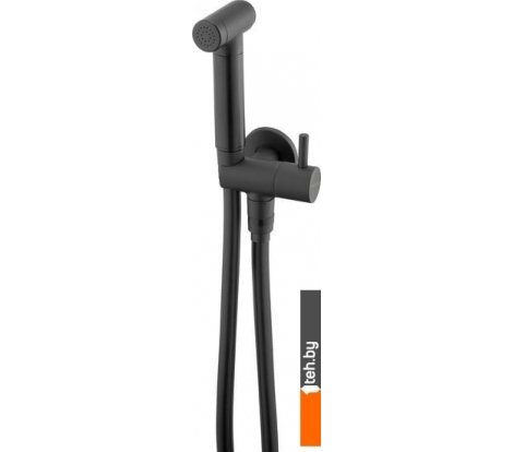  - Душевые системы и гарнитуры Deante Bidetta Nero ANW N51B - Bidetta Nero ANW N51B