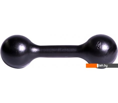  - Гантели, гири, штанги Titan литая ГЛЧ/4 4 кг - литая ГЛЧ/4 4 кг