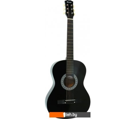  - Гитары Terris TF-3802A BK - TF-3802A BK