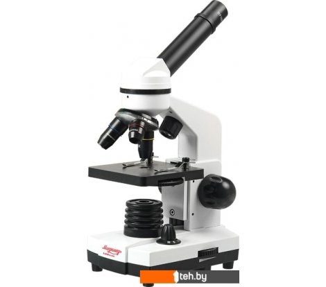 - Игры-опыты, эксперименты Микромед Атом 40x-800x в кейсе 25655 - Атом 40x-800x в кейсе 25655