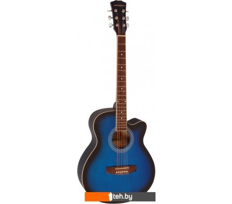  - Гитары Elitaro E4020 BLS - E4020 BLS