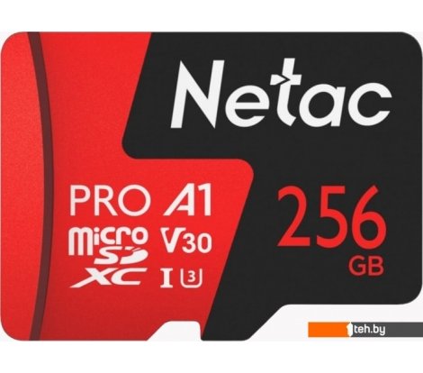 - Карты памяти Netac P500 Extreme Pro 256GB NT02P500PRO-256G-S - P500 Extreme Pro 256GB NT02P500PRO-256G-S