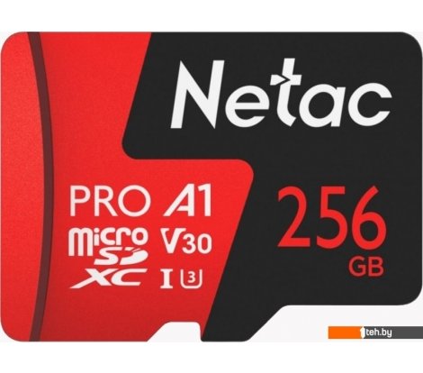  - Карты памяти Netac P500 Extreme Pro 256GB NT02P500PRO-256G-S - P500 Extreme Pro 256GB NT02P500PRO-256G-S