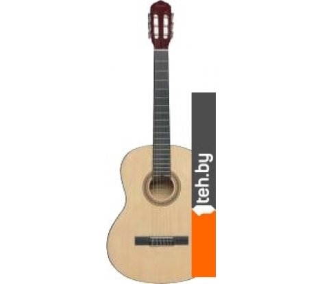  - Гитары Terris TC-395A NA - TC-395A NA