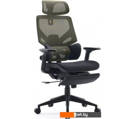  - Офисные кресла и стулья CACTUS CS-CHR-MC01-LGNBK (черный/салатовый) - CS-CHR-MC01-LGNBK (черный/салатовый)