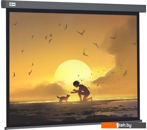  - Проекционные экраны CACTUS Wallscreen 124x221 CS-PSW-124X221-SG - Wallscreen 124x221 CS-PSW-124X221-SG
