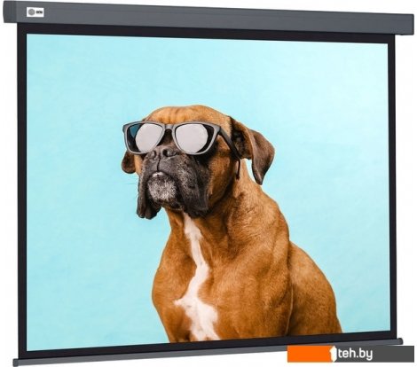  - Проекционные экраны CACTUS Wallscreen 149x265 CS-PSW-149X265-SG - Wallscreen 149x265 CS-PSW-149X265-SG