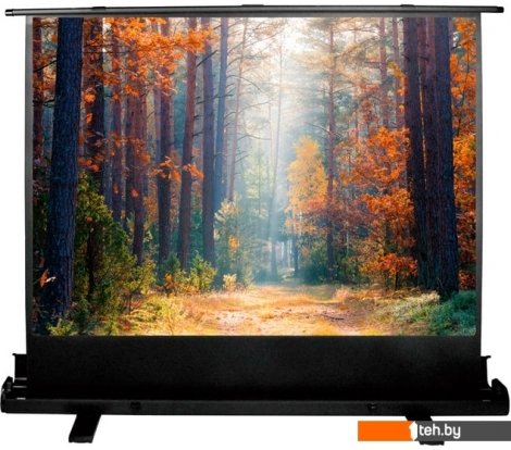  - Проекционные экраны CACTUS FloorExpert 68x120 CS-PSFLE-120X68 - FloorExpert 68x120 CS-PSFLE-120X68