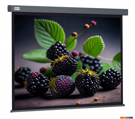  - Проекционные экраны CACTUS Wallscreen 127x127 CS-PSW-127X127-SG - Wallscreen 127x127 CS-PSW-127X127-SG