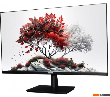  - Мониторы RDW Computers RDW 2701K - RDW 2701K