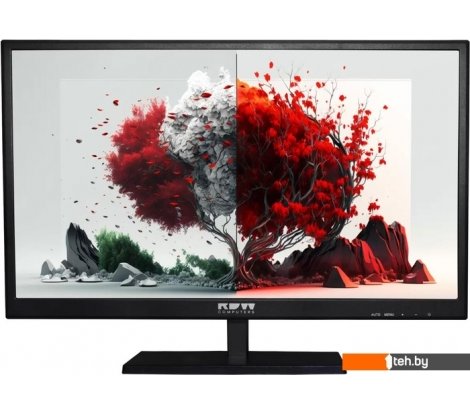  - Мониторы RDW Computers RDW 2401K - RDW 2401K
