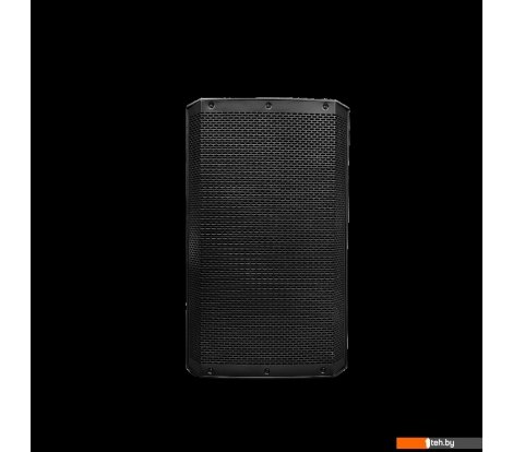  - Концертная акустика Acury DS12 - DS12