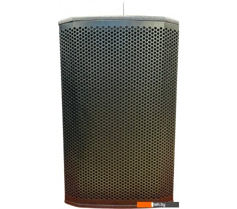 - Концертная акустика Acury DS15W - DS15W