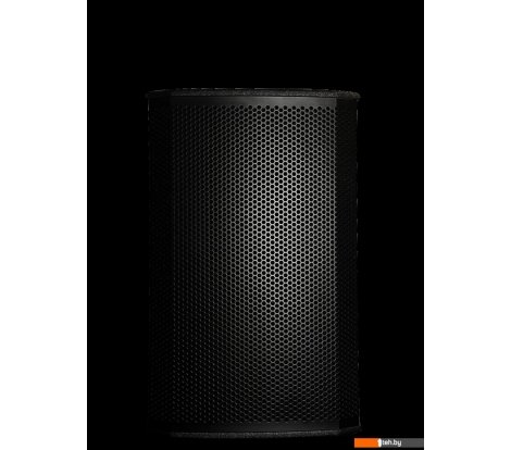  - Концертная акустика Acury DS15W - DS15W
