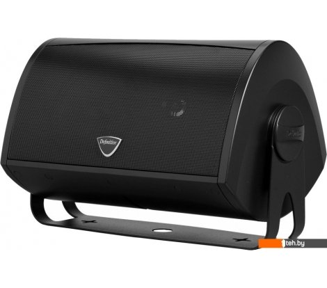  - Инсталляционная и рупорная акустика Definitive Technology AW6500 (черный) - AW6500 (черный)