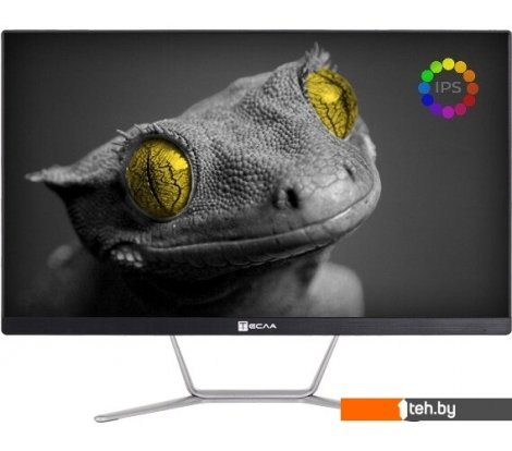  - Моноблоки ТЕСЛА Z24B 2116500 - Z24B 2116500