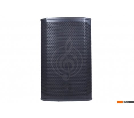  - Концертная акустика Acury DS12W - DS12W