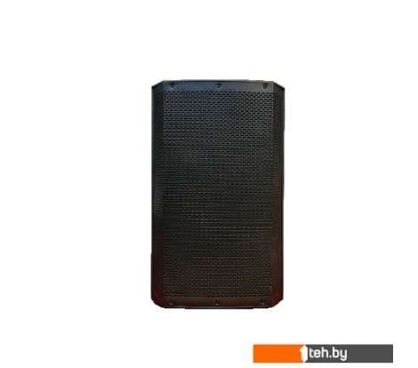  - Концертная акустика Acury DS15 - DS15