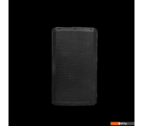  - Концертная акустика Acury DS10 - DS10