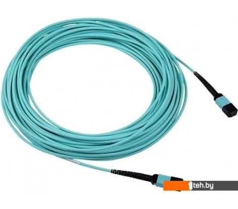  - Кабели, адаптеры, разветвители Huawei FMMM03001 - FMMM03001