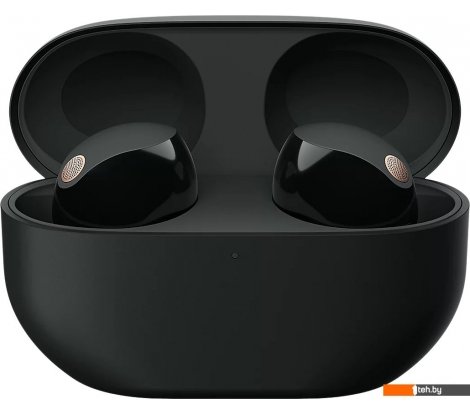  - Наушники и гарнитуры Sony WF-1000XM5 (черный) - WF-1000XM5 (черный)