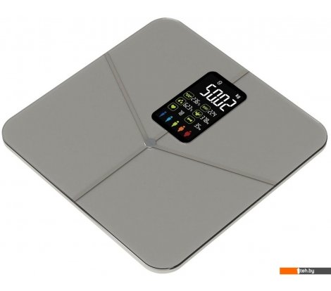  - Напольные весы SecretDate Smart SD-IT01G - Smart SD-IT01G