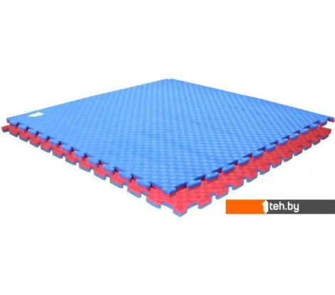  - Детские спортивные комплексы и игровые площадки DFC ППЭ-2025 9878 (синий/красный) - ППЭ-2025 9878 (синий/красный)