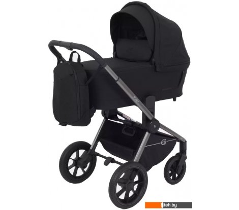  - Детские коляски и аксессуары Rant Flex Pro RA074 2023 (2 в 1, черный) - Flex Pro RA074 2023 (2 в 1, черный)